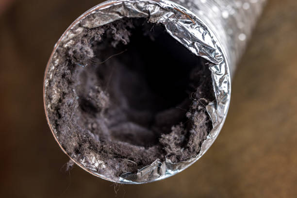 HVAC System Cleaning in Meadow Glade, WA