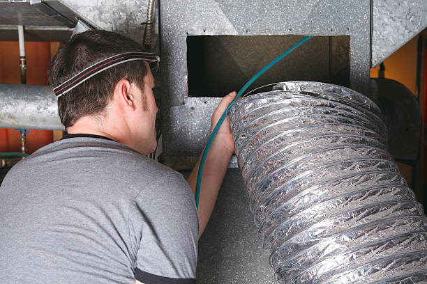 Best Affordable Duct Cleaning Services  in Meadow Glade, WA
